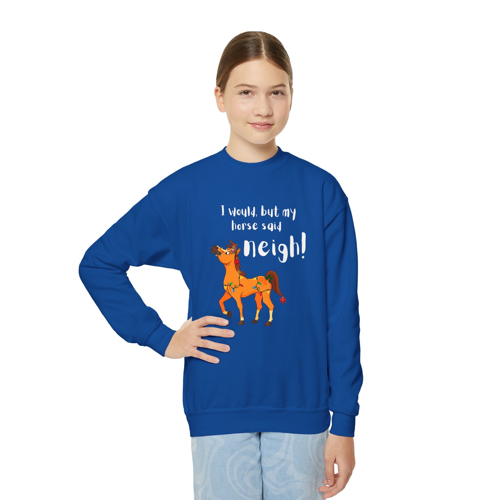 Youth Sweatshirt — 'I Would But My Horse Said Neigh' Cute Ornamental Horse
