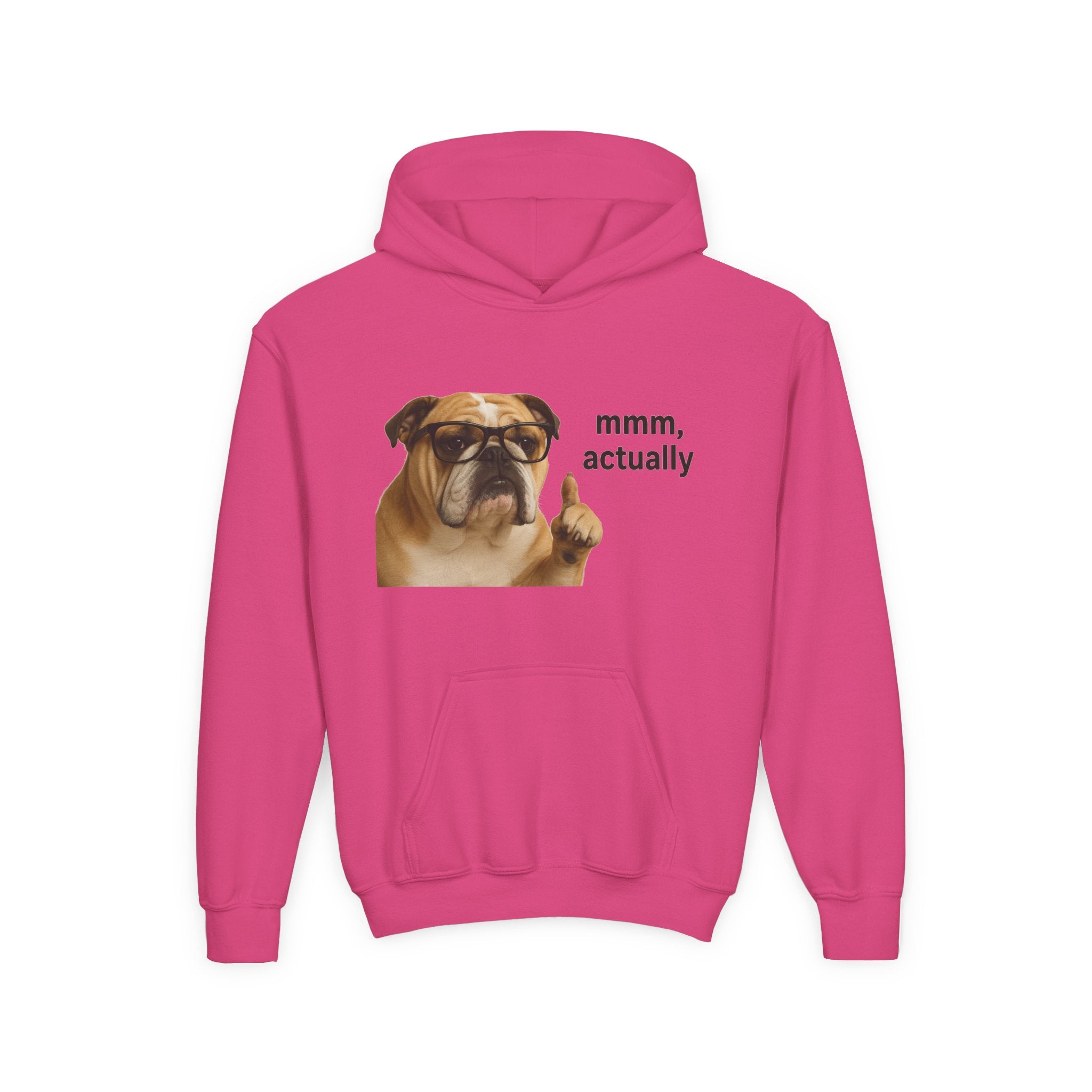 Youth Hoodie — Funny Bulldog “mmm, actually” Graphic Sweatshirt
