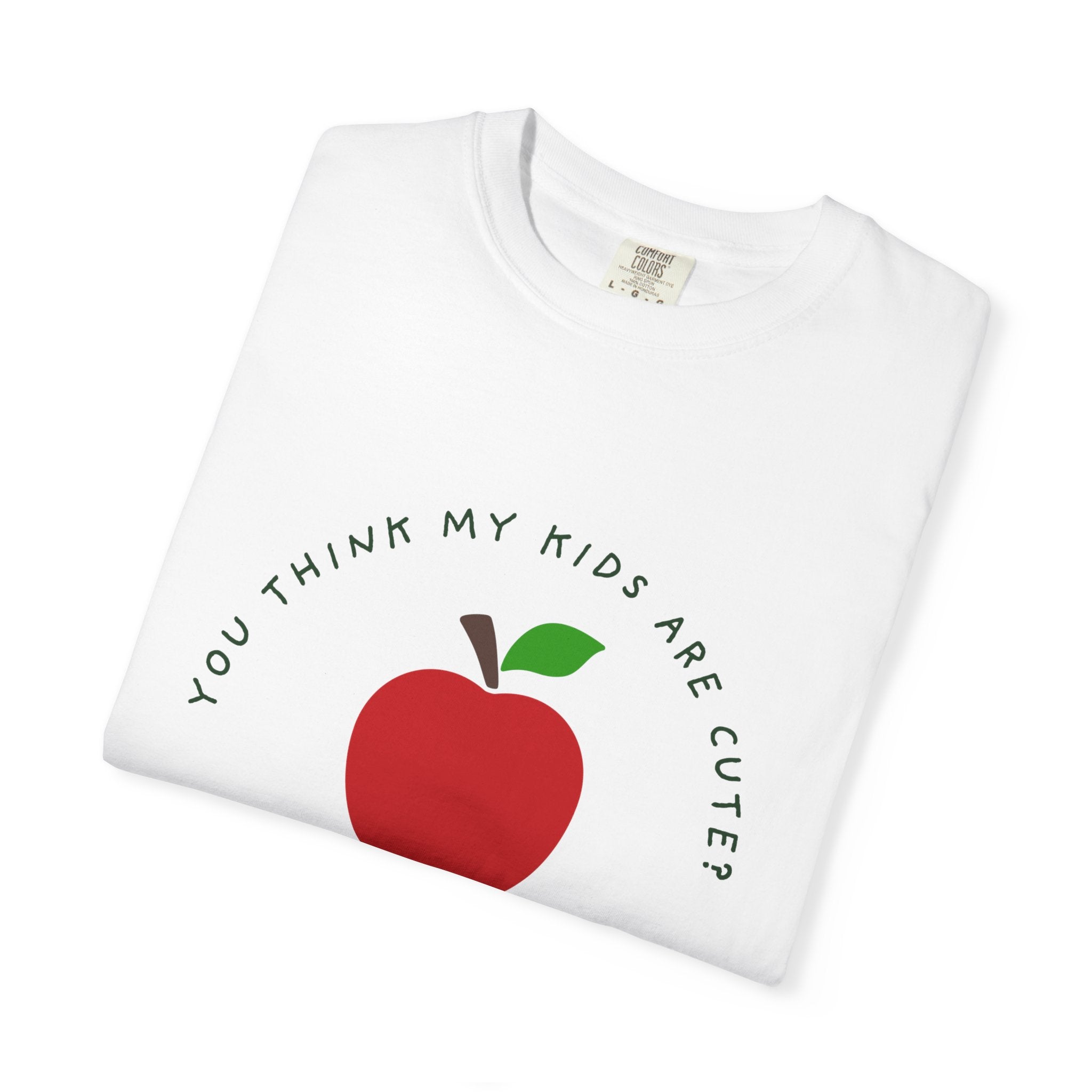 Fun T‑Shirt — Homeschool dad's shirt