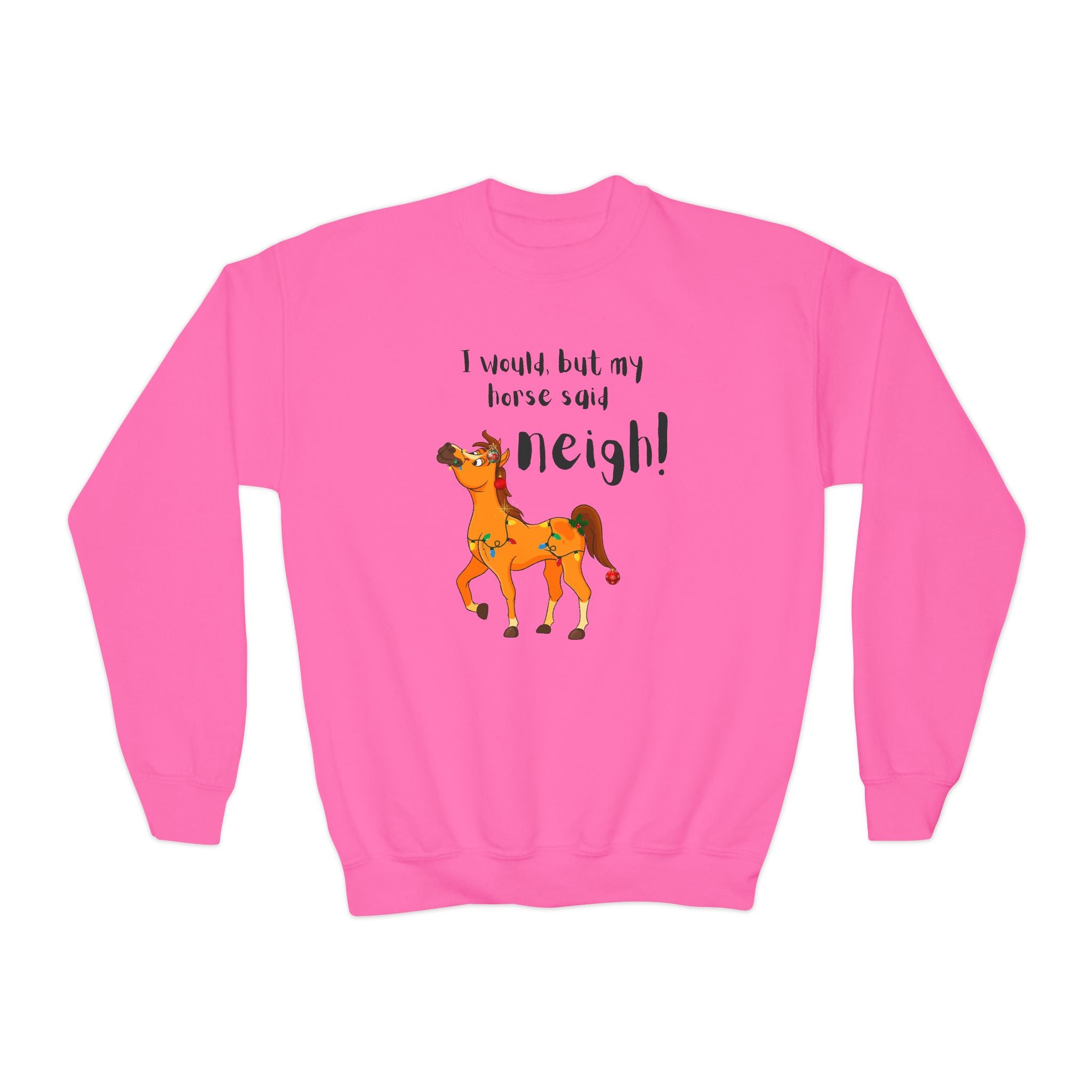 Youth Sweatshirt — 'I Would But My Horse Said Neigh' Cute Ornamental Horse