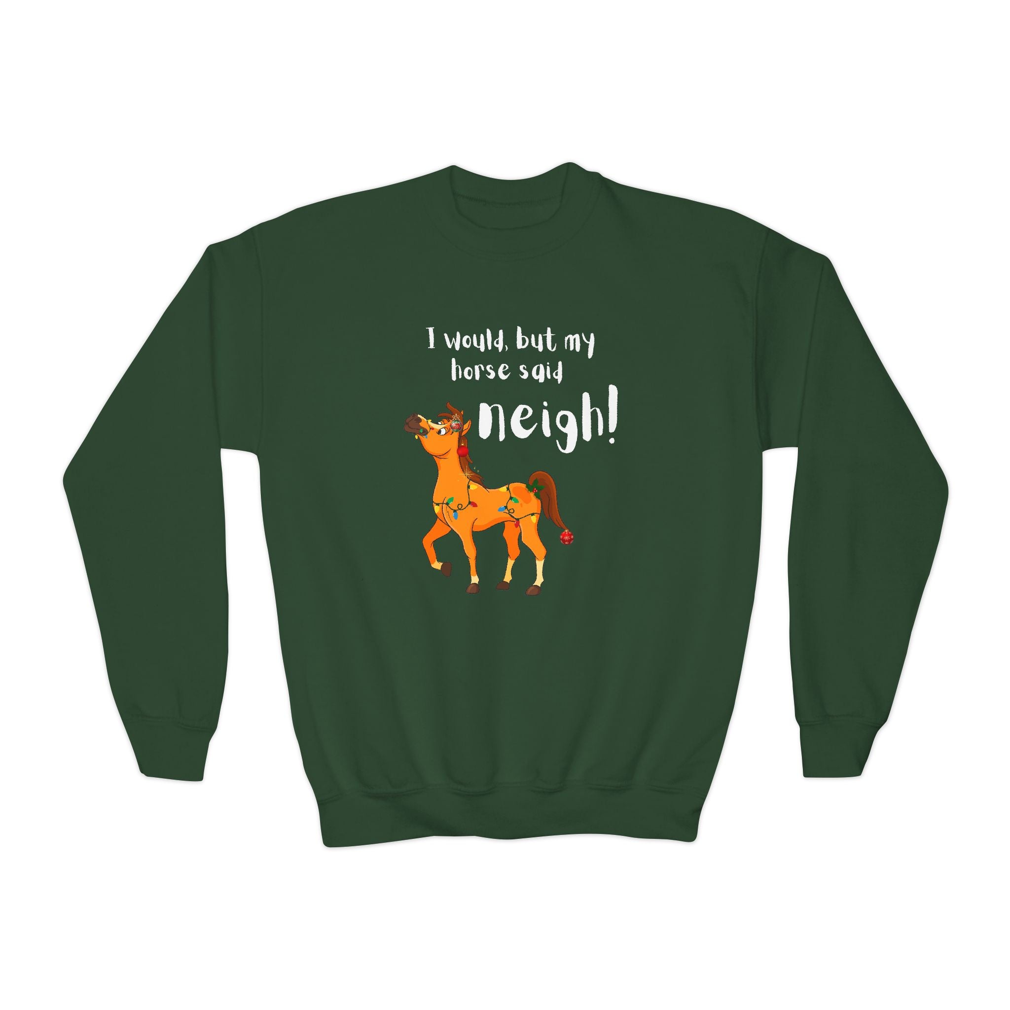 Youth Sweatshirt — 'I Would But My Horse Said Neigh' Cute Ornamental Horse