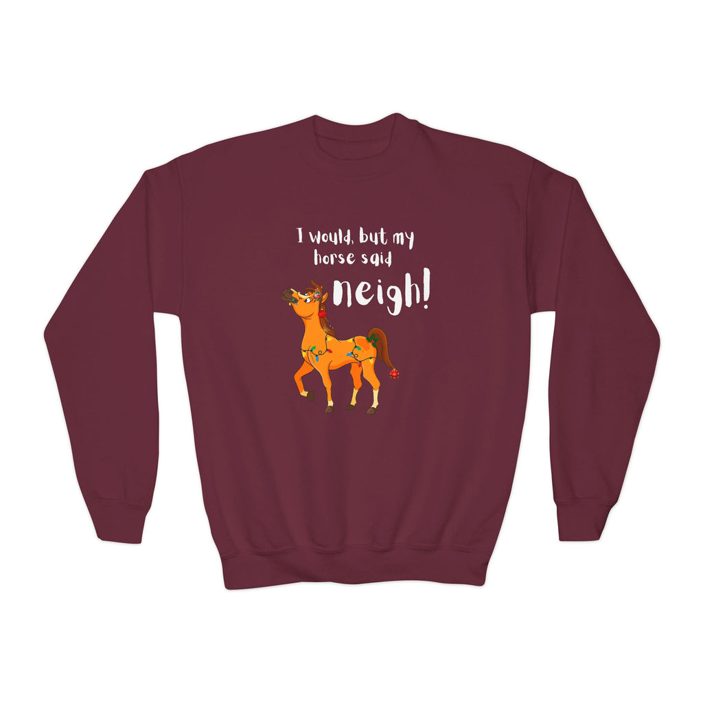 Youth Sweatshirt — 'I Would But My Horse Said Neigh' Cute Ornamental Horse