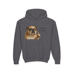 Youth Hoodie — Funny Bulldog “mmm, actually” Graphic Sweatshirt