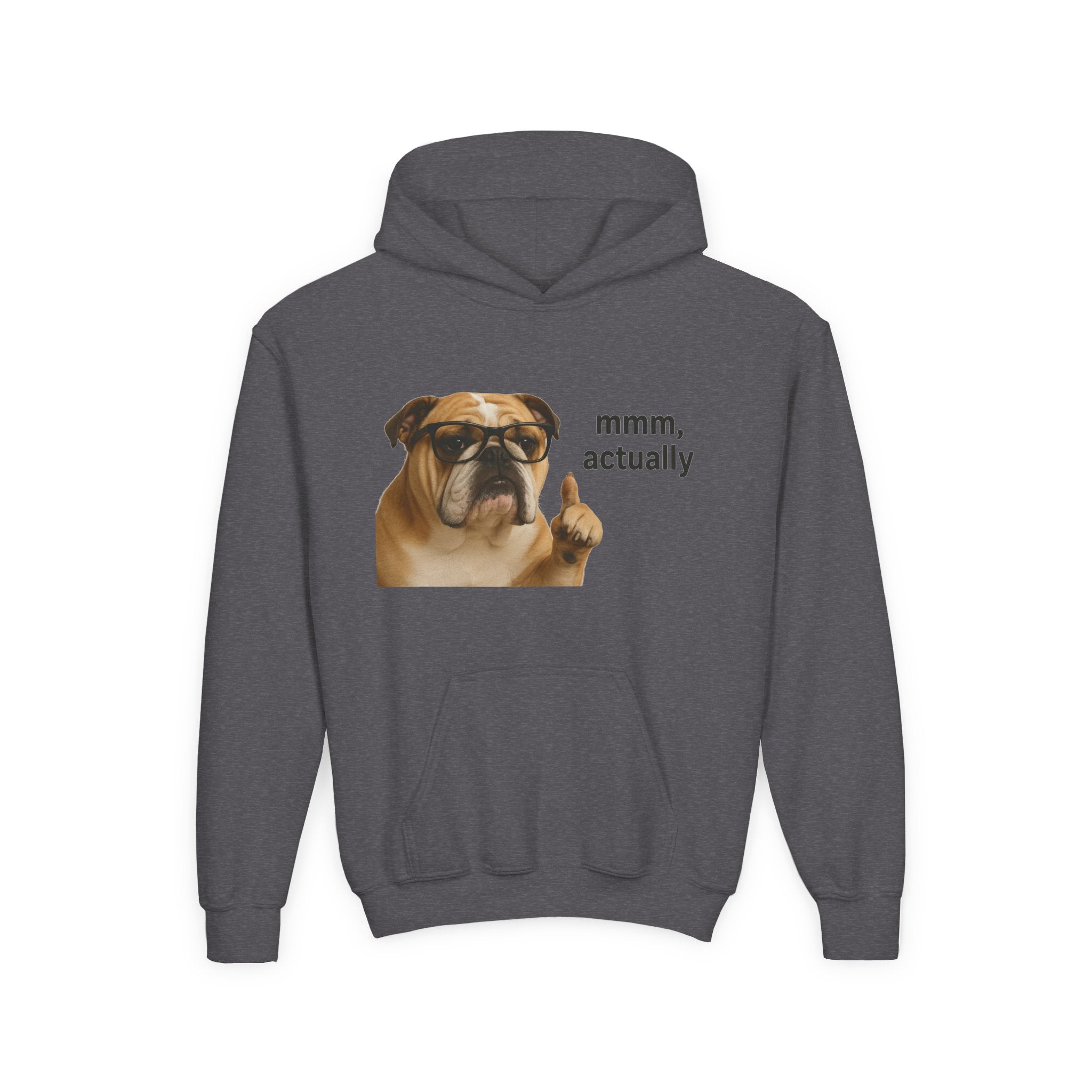 Youth Hoodie — Funny Bulldog “mmm, actually” Graphic Sweatshirt