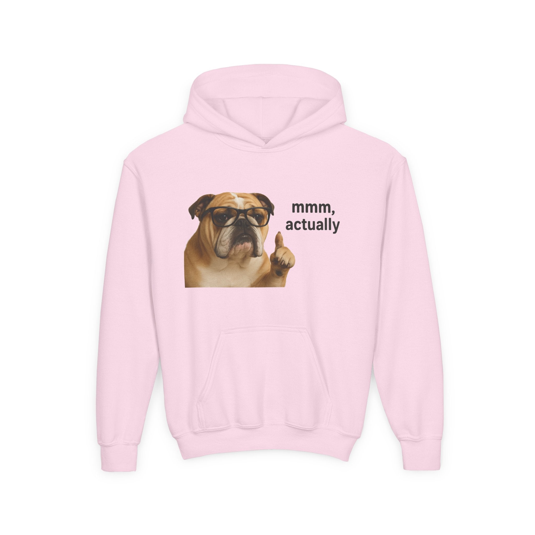 Youth Hoodie — Funny Bulldog “mmm, actually” Graphic Sweatshirt