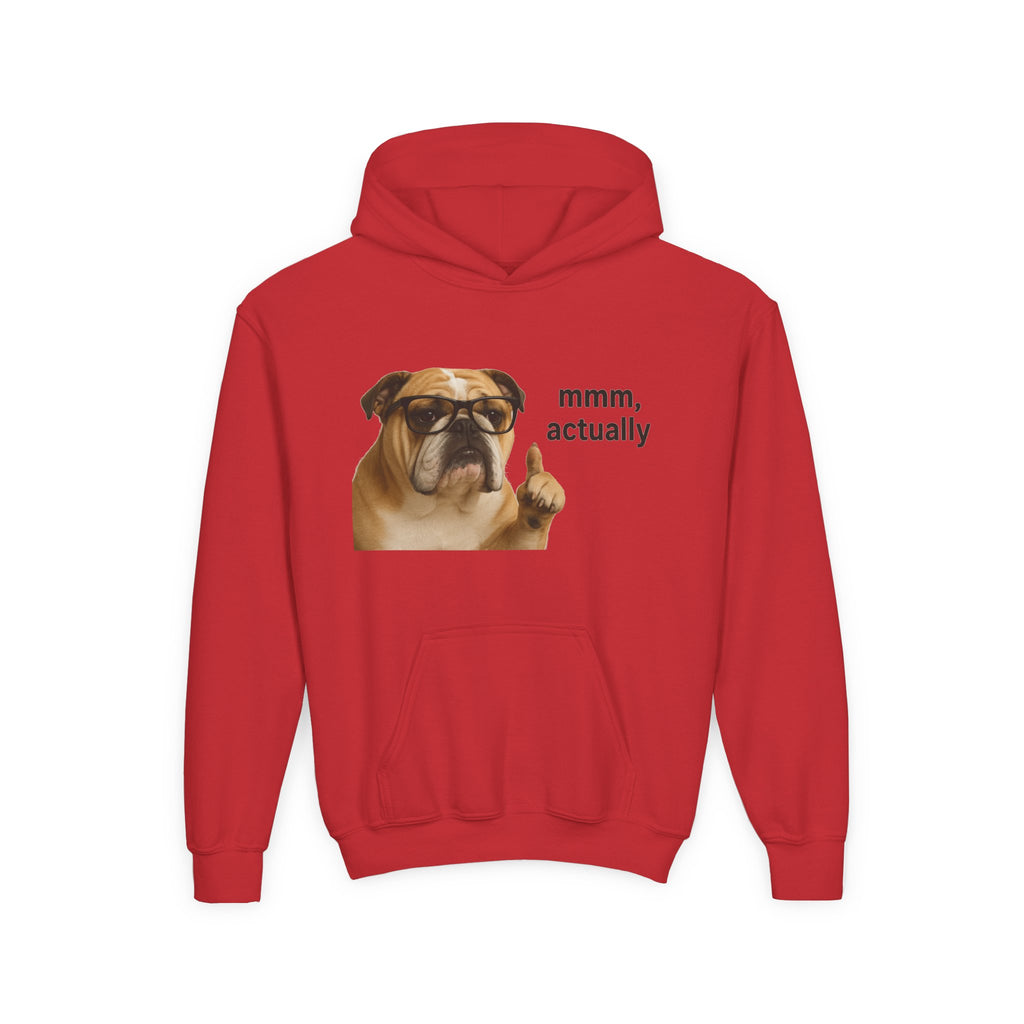 Youth Hoodie — Funny Bulldog “mmm, actually” Graphic Sweatshirt