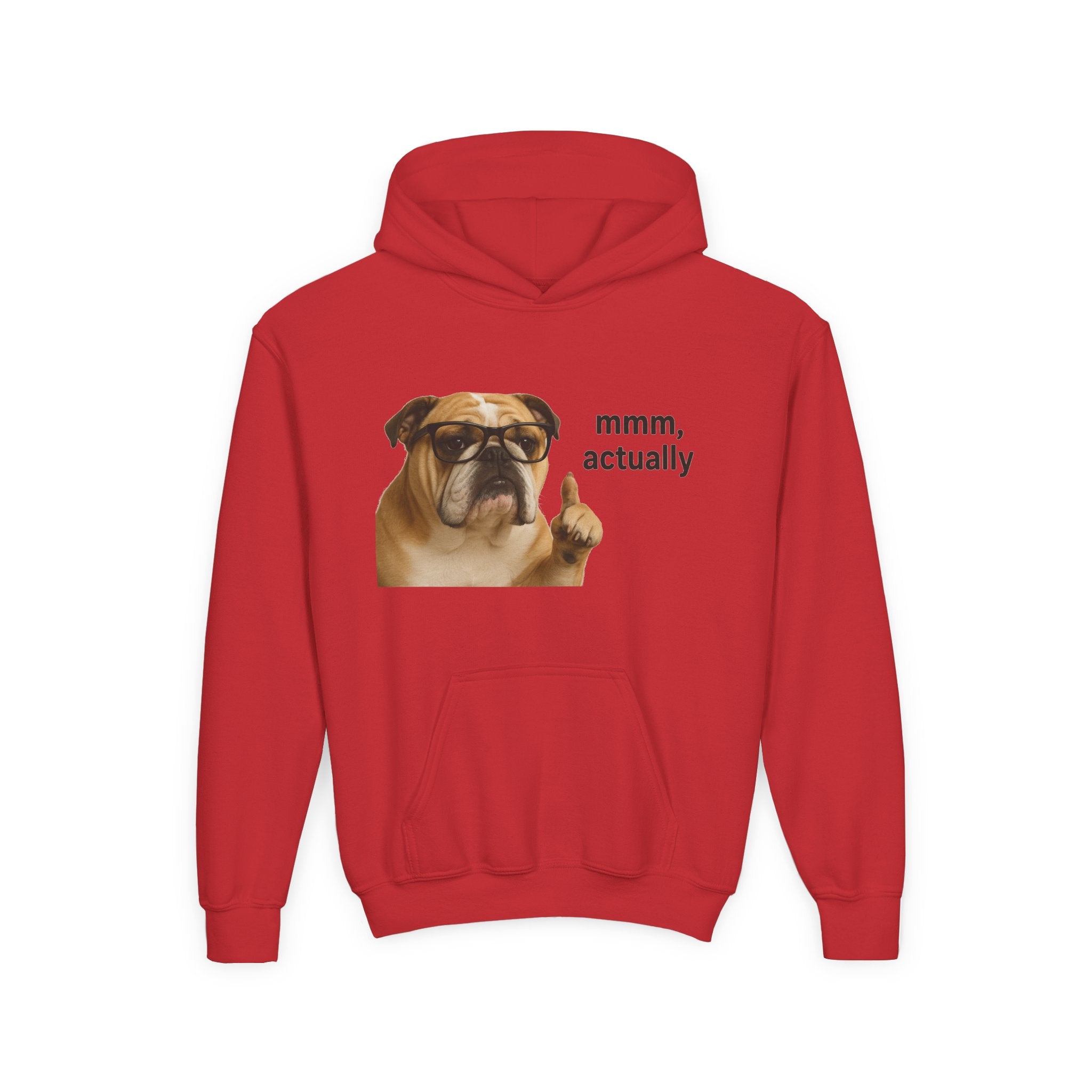 Youth Hoodie — Funny Bulldog “mmm, actually” Graphic Sweatshirt
