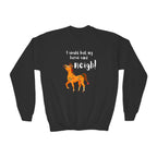 Youth Sweatshirt — 'I Would But My Horse Said Neigh' Cute Ornamental Horse