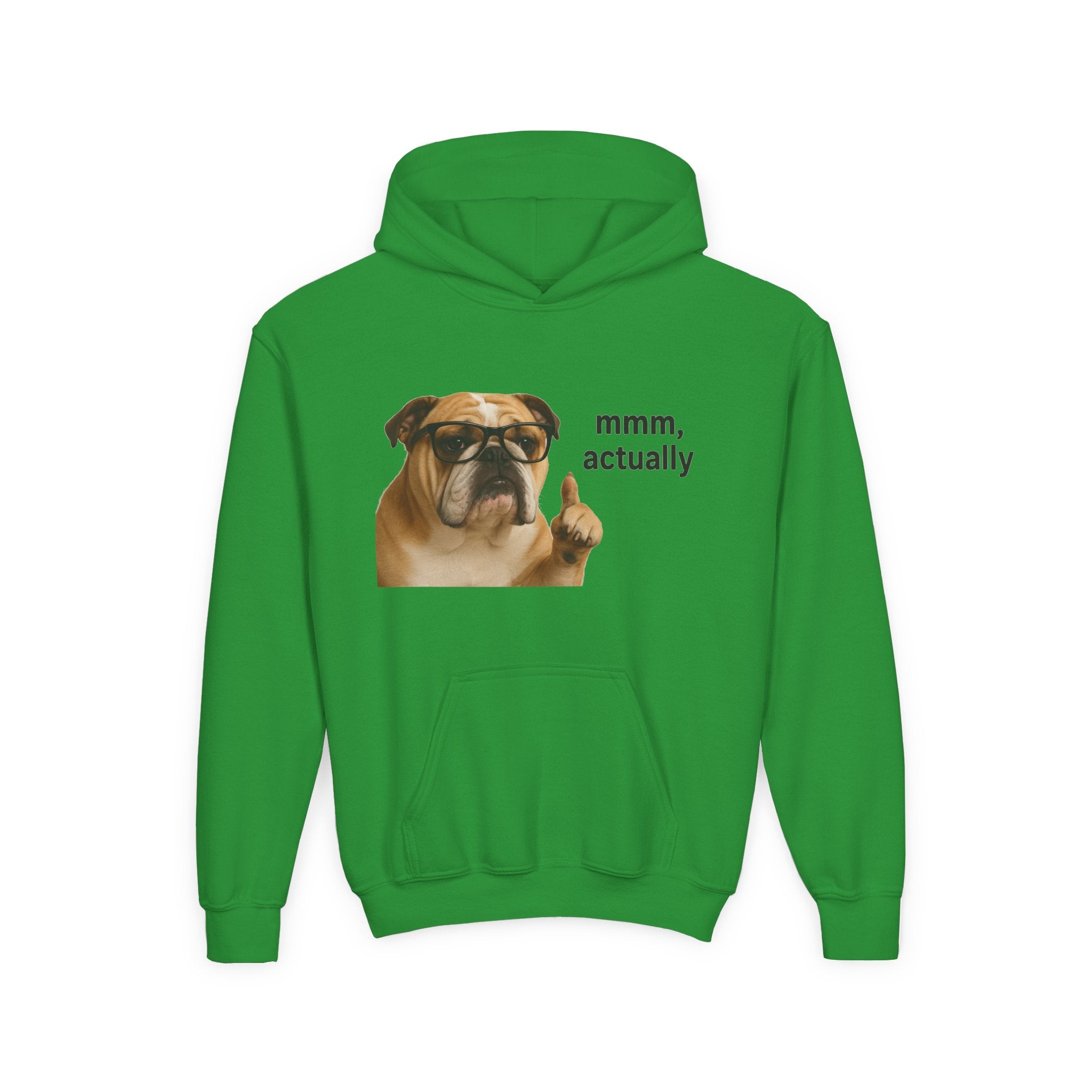Youth Hoodie — Funny Bulldog “mmm, actually” Graphic Sweatshirt