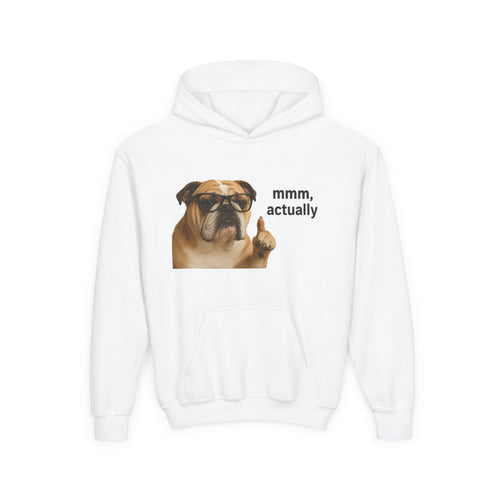 Youth Hoodie — Funny Bulldog “mmm, actually” Graphic Sweatshirt