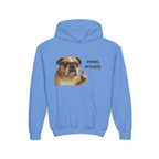 Youth Hoodie — Funny Bulldog “mmm, actually” Graphic Sweatshirt