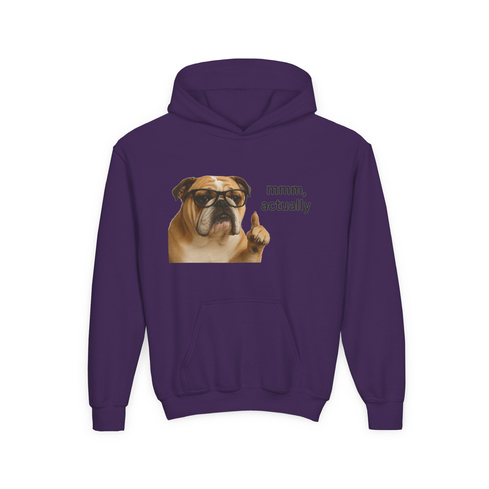 Youth Hoodie — Funny Bulldog “mmm, actually” Graphic Sweatshirt