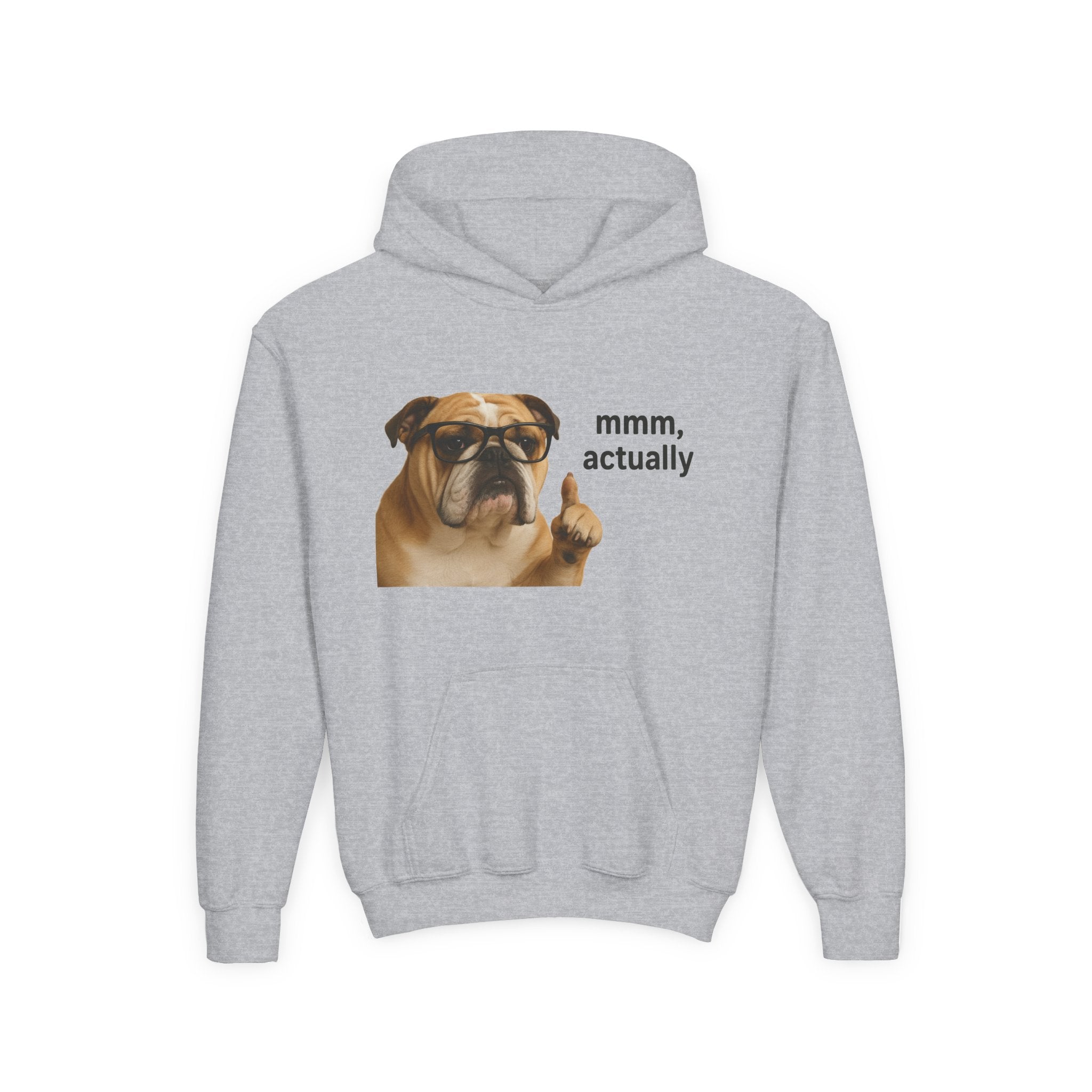 Youth Hoodie — Funny Bulldog “mmm, actually” Graphic Sweatshirt