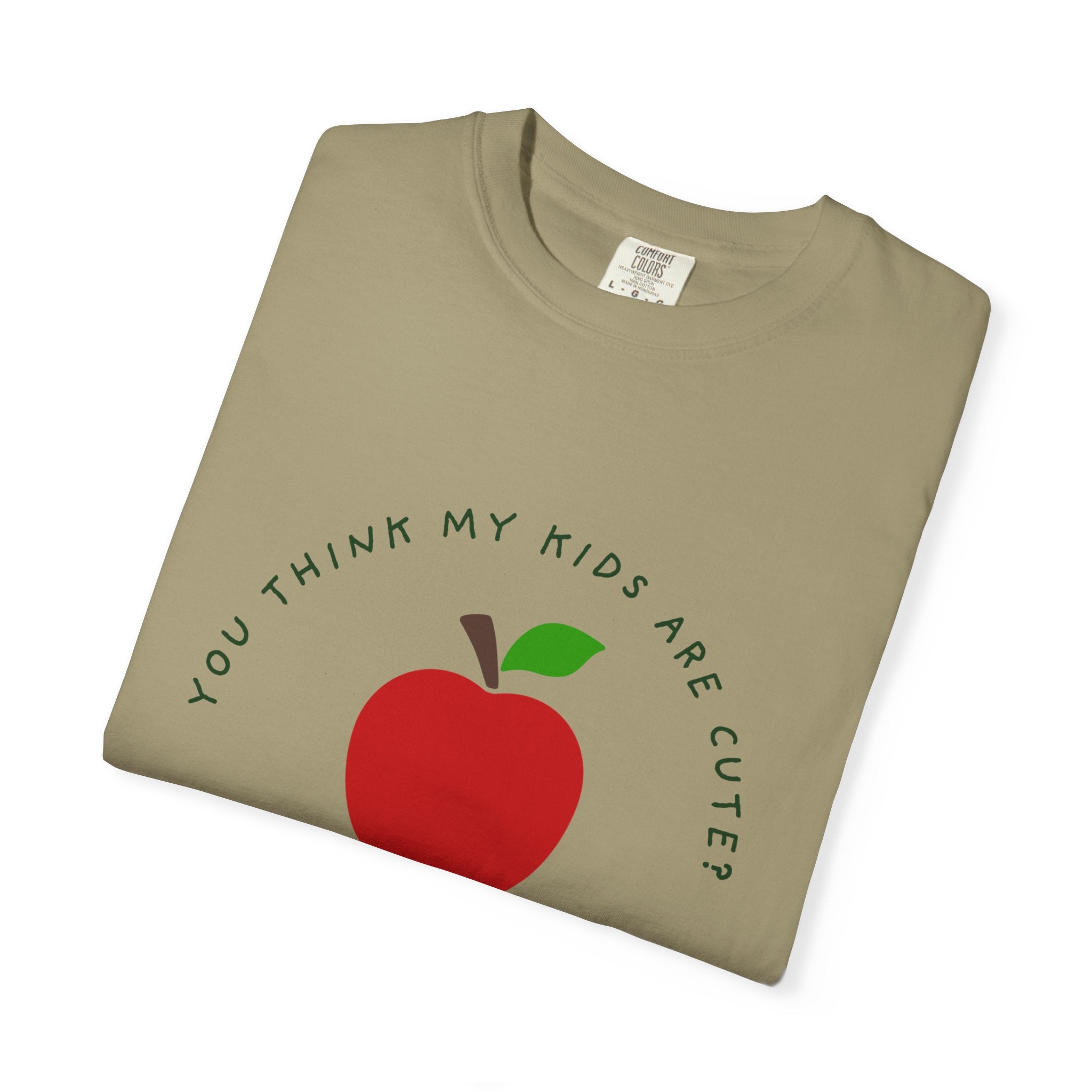 Fun T‑Shirt — Homeschool dad's shirt