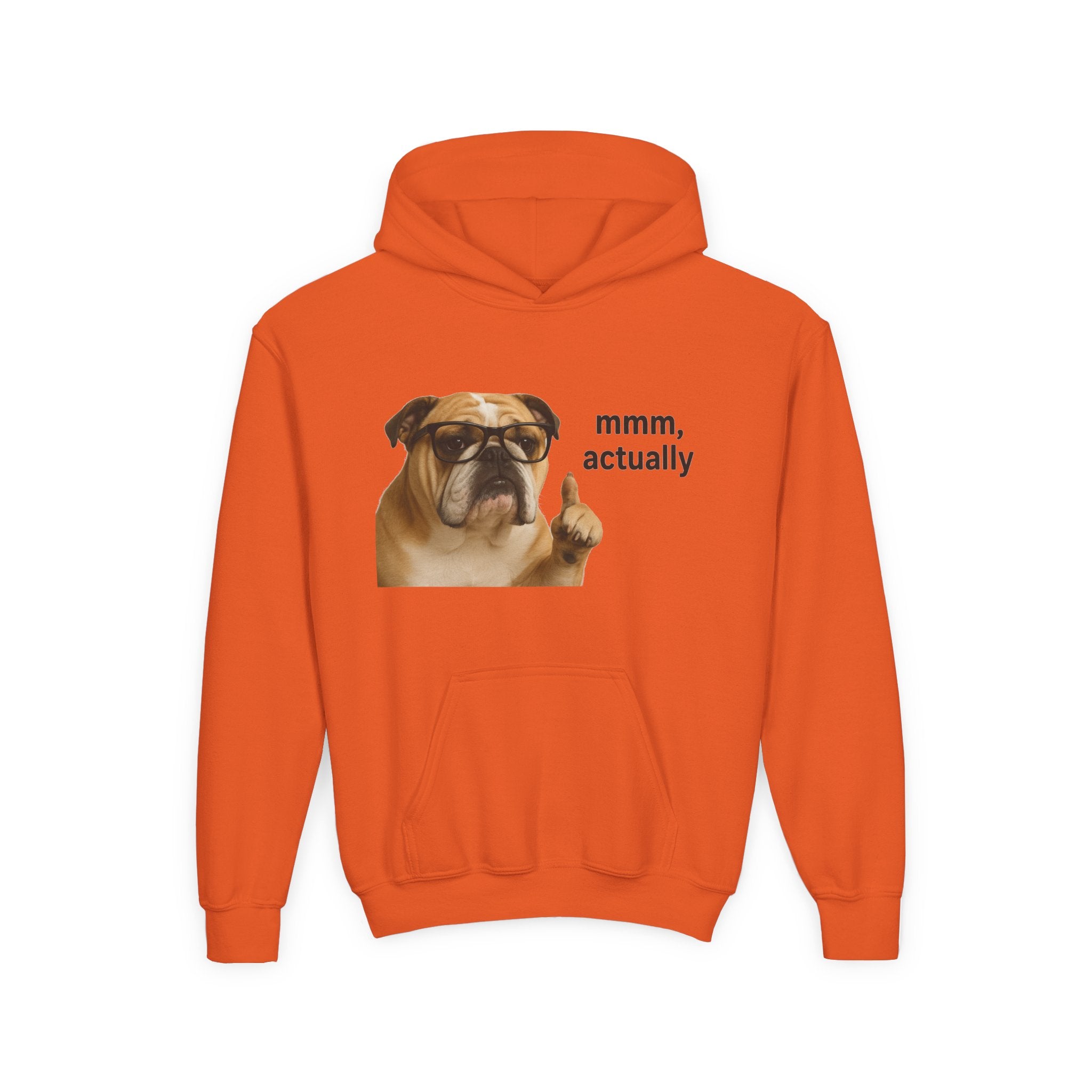 Youth Hoodie — Funny Bulldog “mmm, actually” Graphic Sweatshirt
