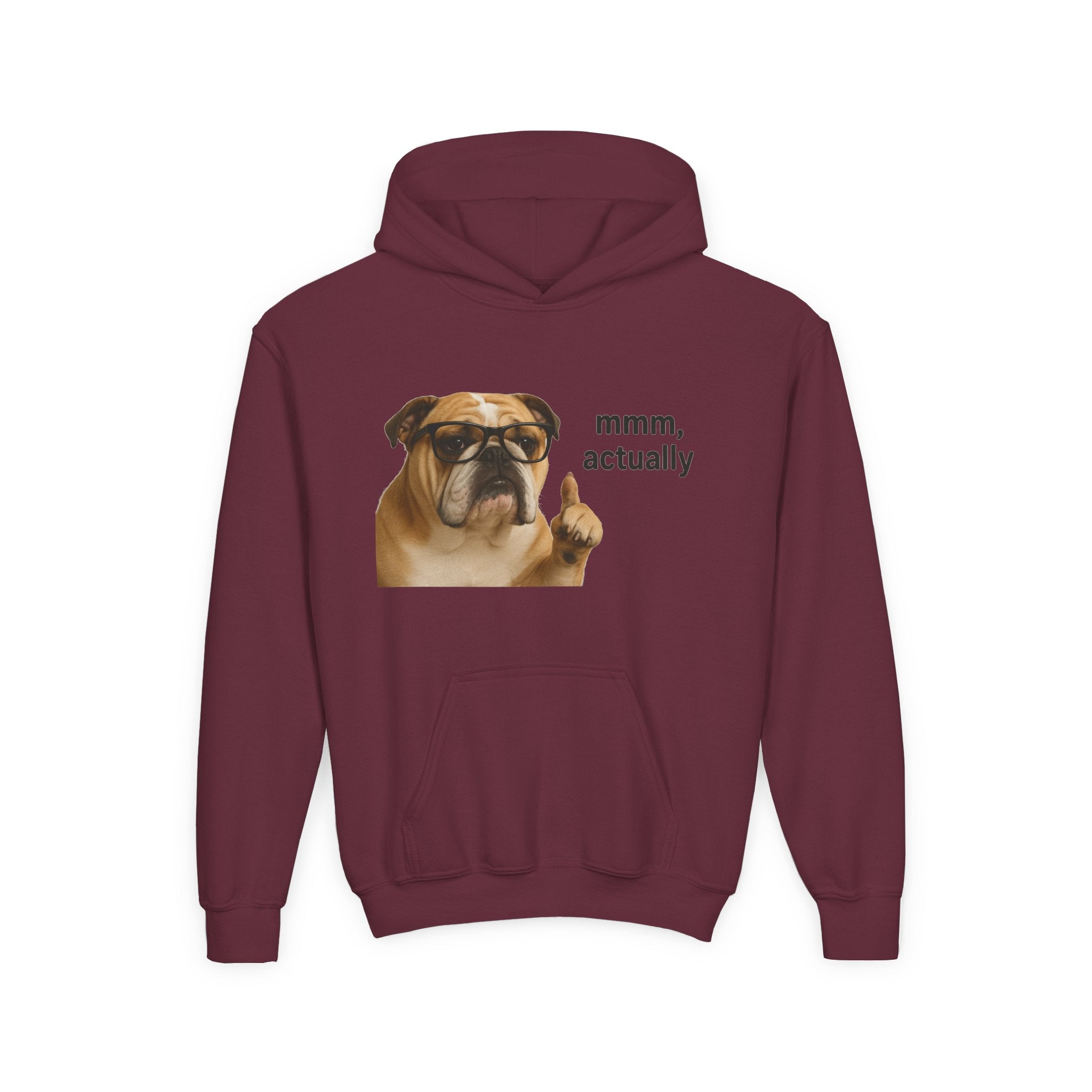 Youth Hoodie — Funny Bulldog “mmm, actually” Graphic Sweatshirt