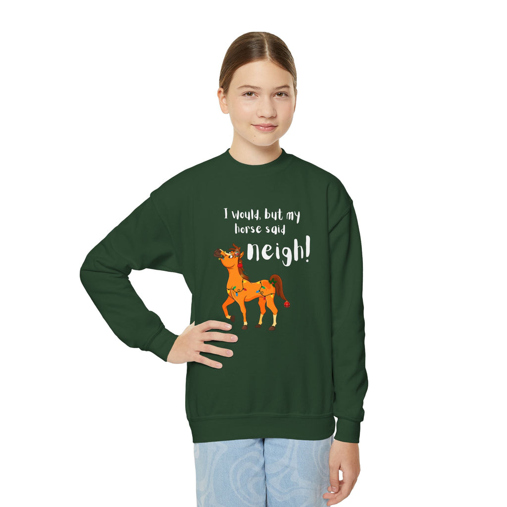 Youth Sweatshirt — 'I Would But My Horse Said Neigh' Cute Ornamental Horse