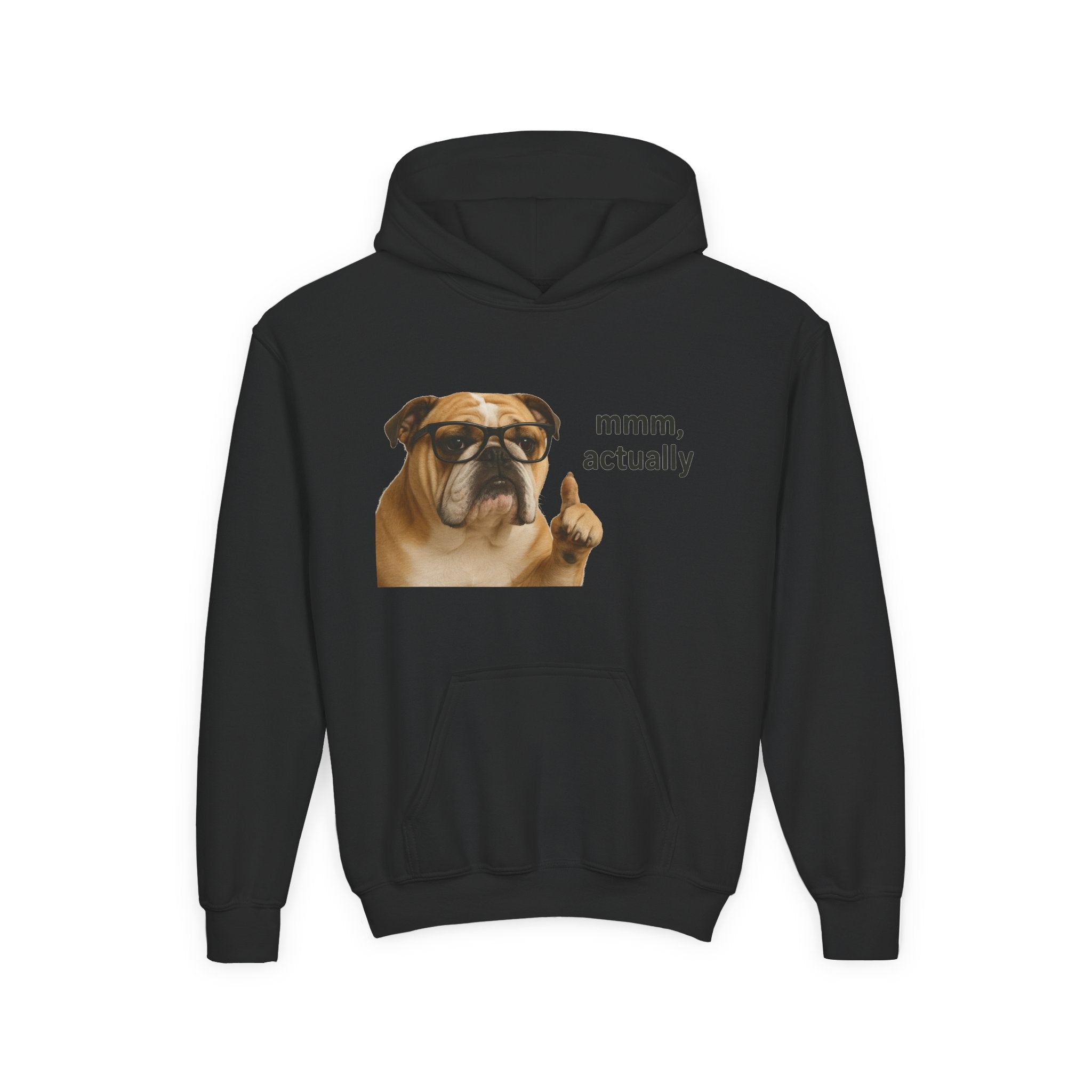 Youth Hoodie — Funny Bulldog “mmm, actually” Graphic Sweatshirt