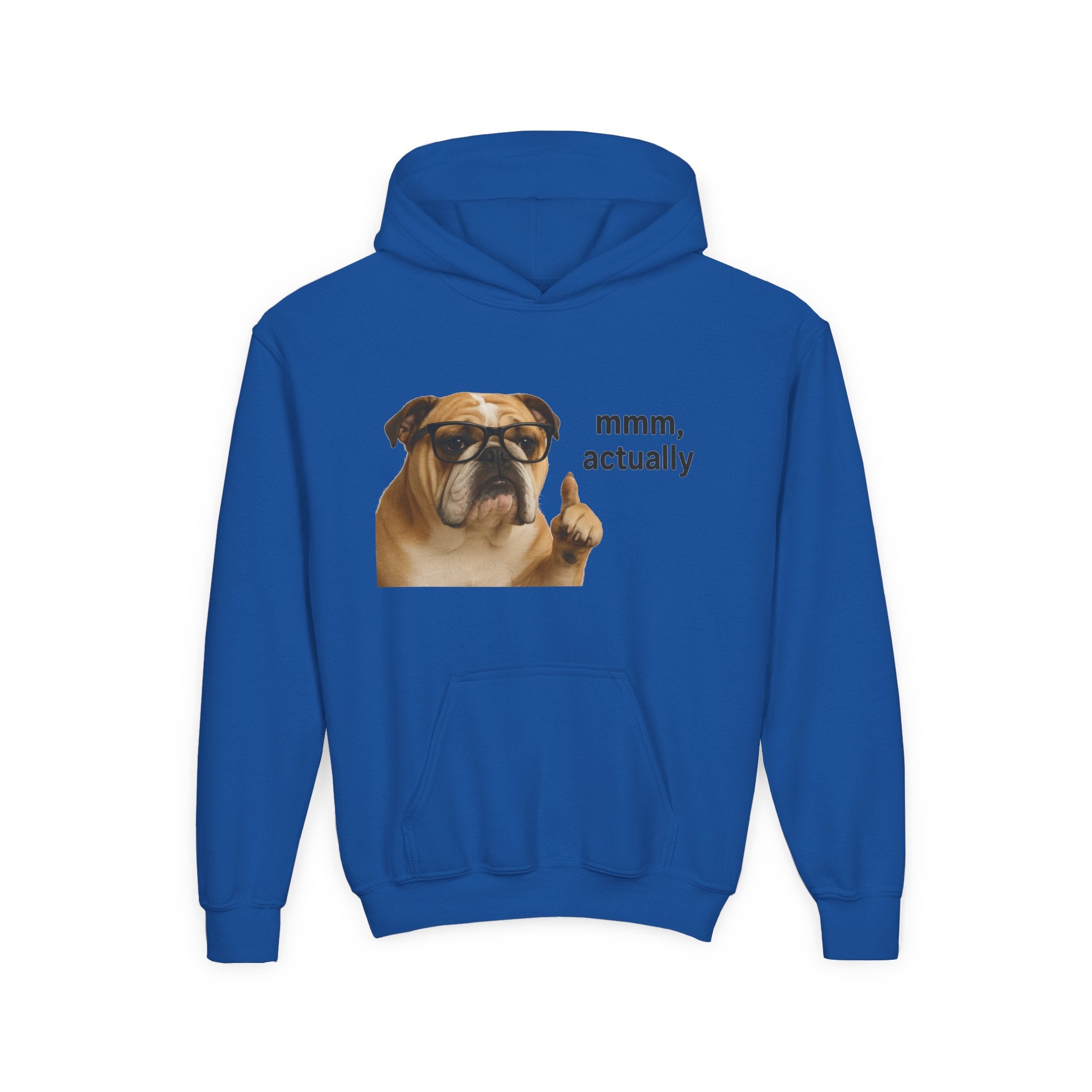 Youth Hoodie — Funny Bulldog “mmm, actually” Graphic Sweatshirt