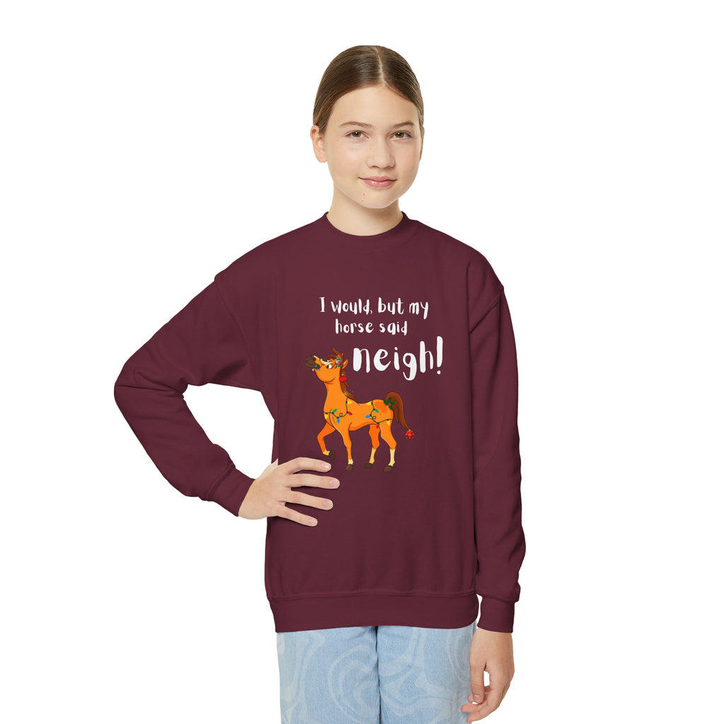 Youth Sweatshirt — 'I Would But My Horse Said Neigh' Cute Ornamental Horse
