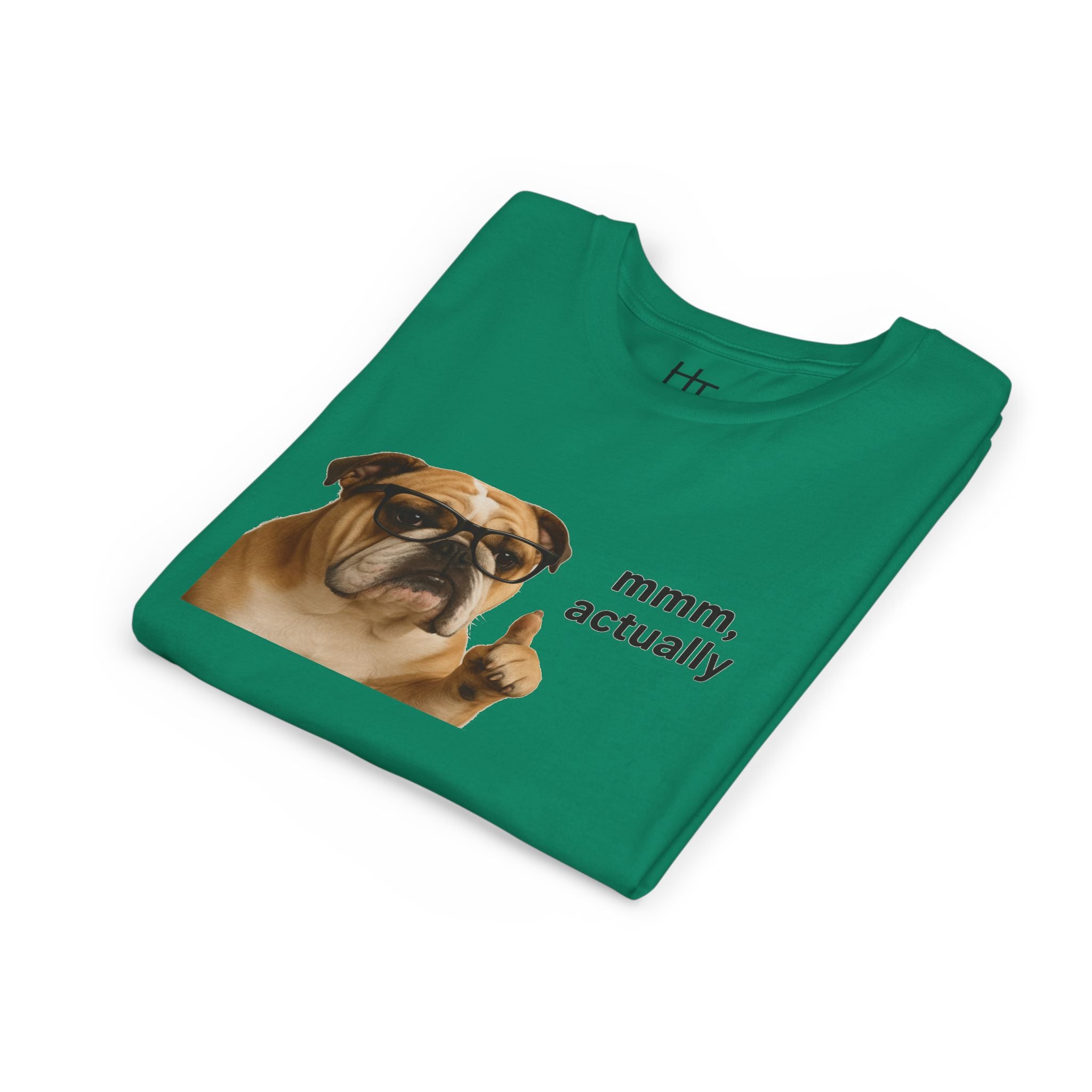 Youth Tee — Funny Bulldog Graphic “mmm, actually” Kids Shirt