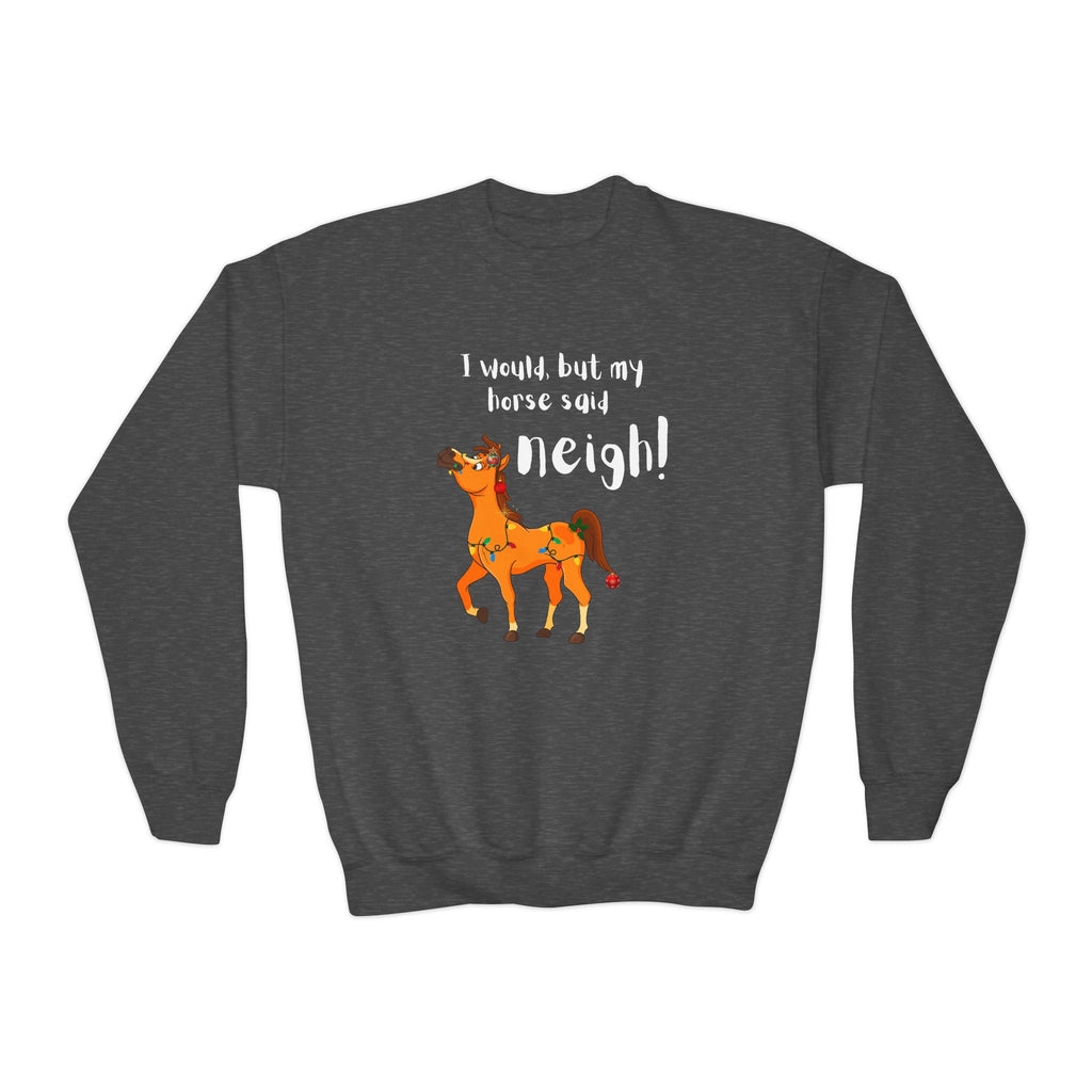 Youth Sweatshirt — 'I Would But My Horse Said Neigh' Cute Ornamental Horse