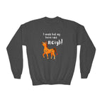 Youth Sweatshirt — 'I Would But My Horse Said Neigh' Cute Ornamental Horse