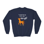 Youth Sweatshirt — 'I Would But My Horse Said Neigh' Cute Ornamental Horse