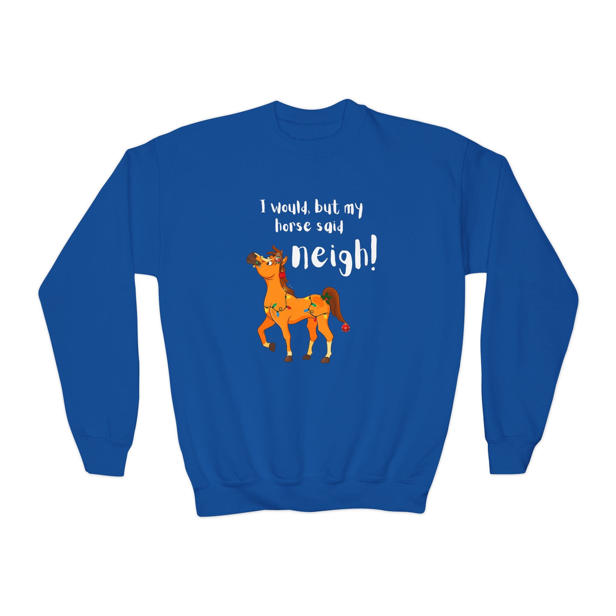 Youth Sweatshirt — 'I Would But My Horse Said Neigh' Cute Ornamental Horse